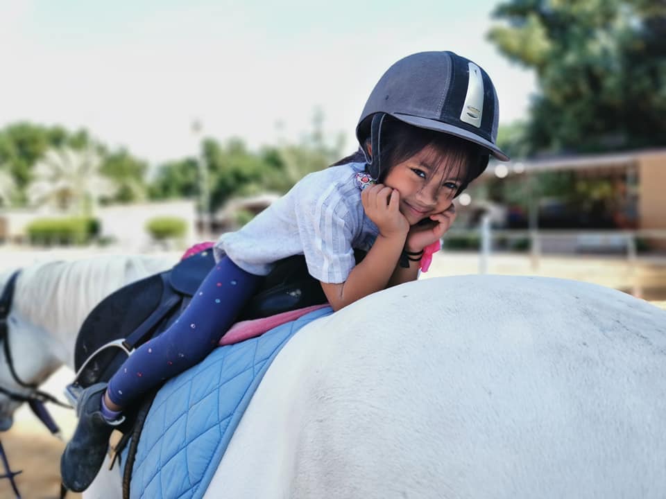 European Equestrian Academy Dubai Riding School Dubai